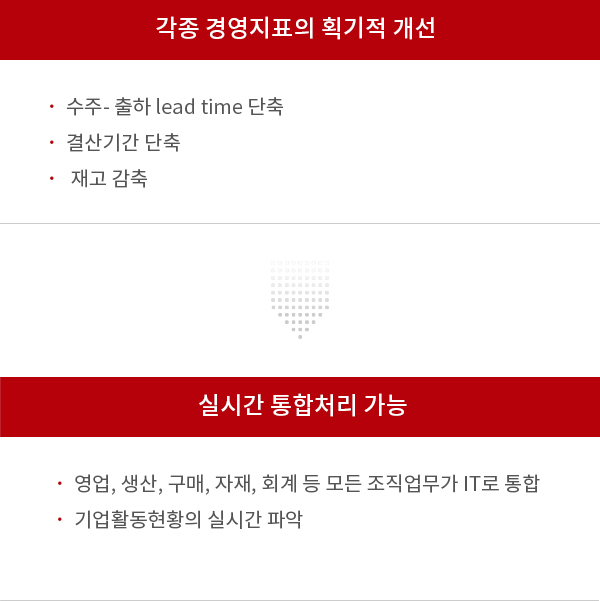 ERP 도입효과