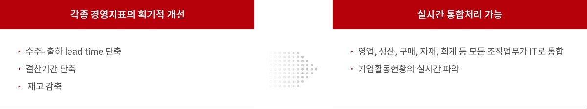 ERP 도입효과